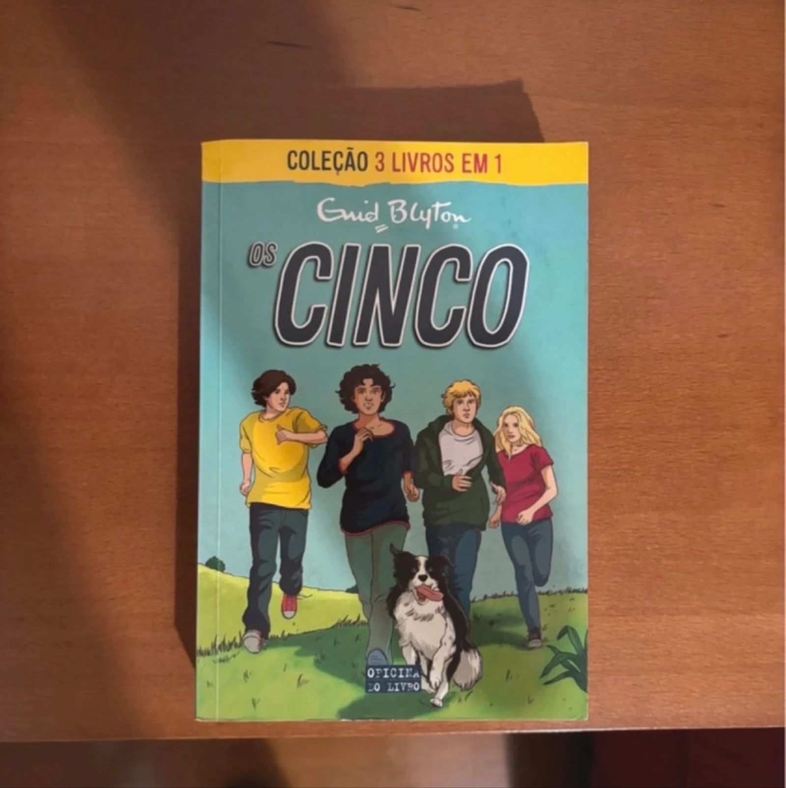 Livro - Os Cinco As Primeiras Aventuras em Kirrin (Enid Blyton)